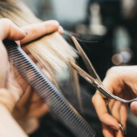 Haircut (All Genders)